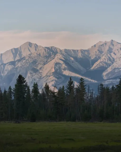 Snowy peaks above pine forest
