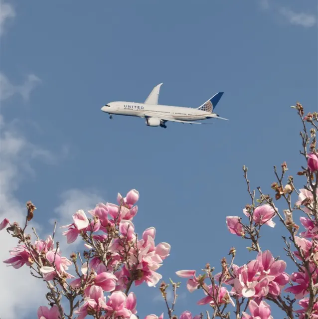 Aviation photography