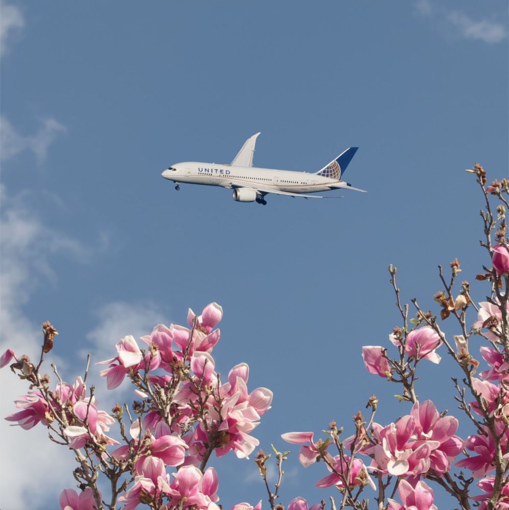 Aviation Photography